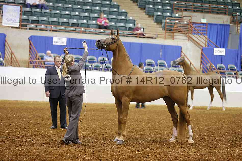 Proof 14r12_0782