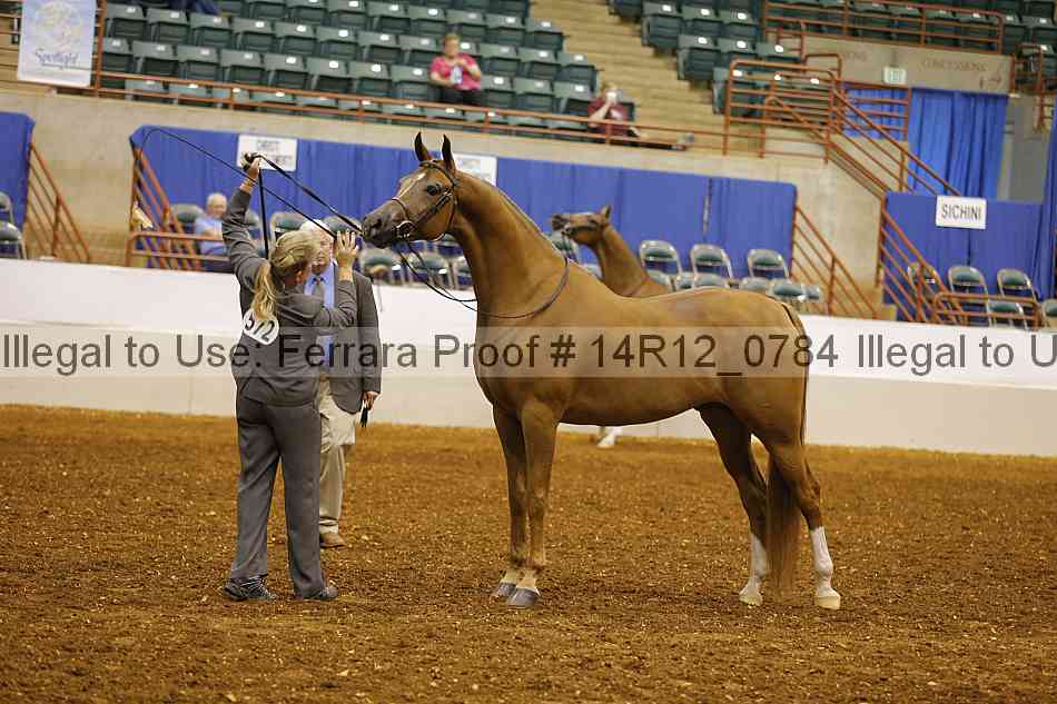 Proof 14r12_0784