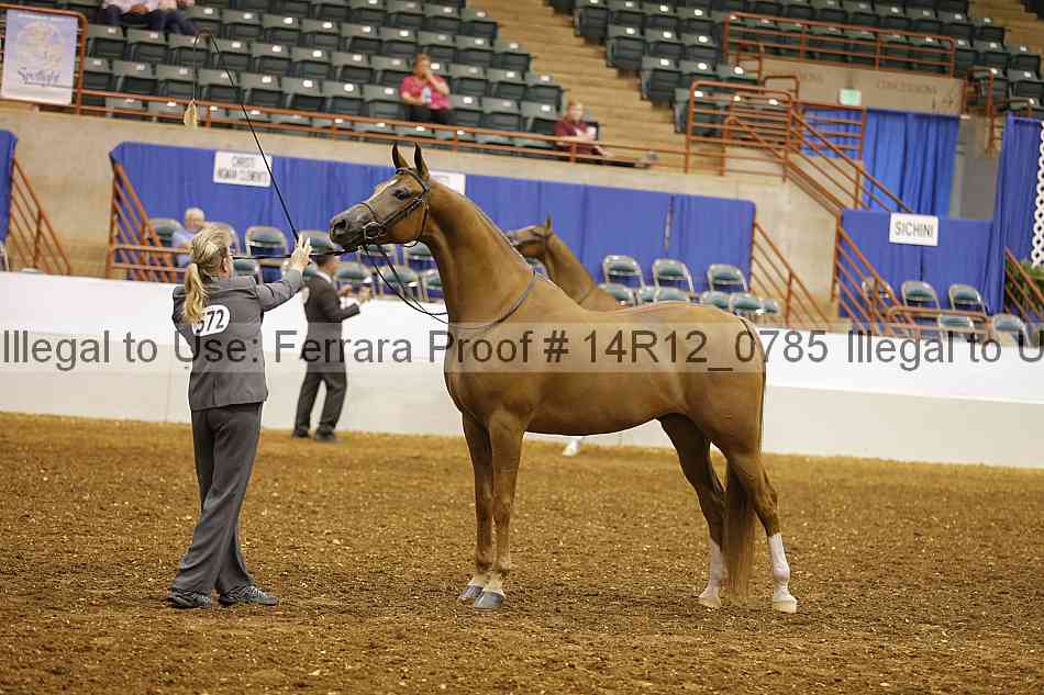 Proof 14r12_0785
