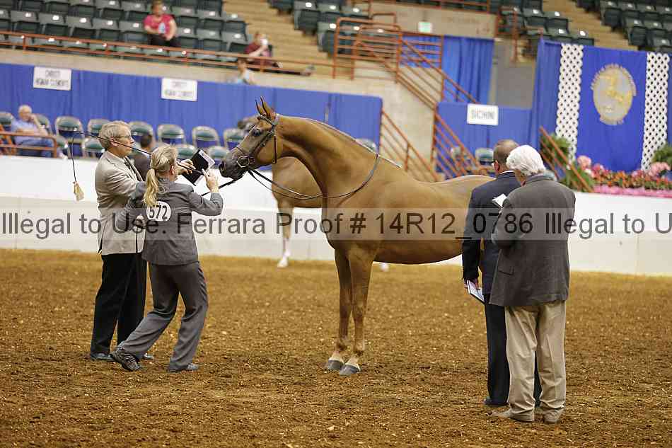 Proof 14r12_0786