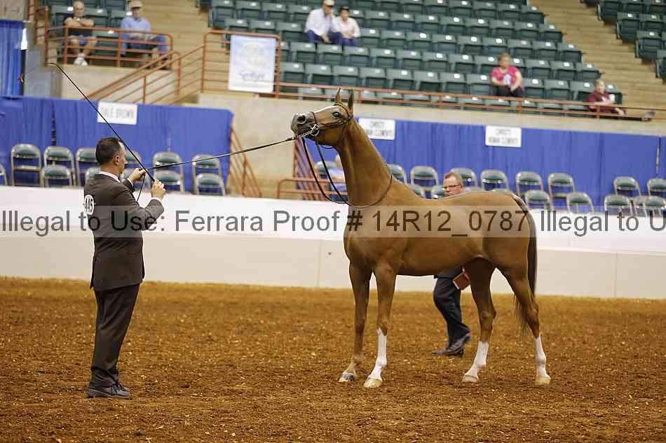 Proof 14r12_0787