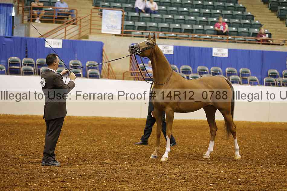 Proof 14r12_0788
