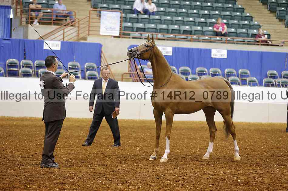 Proof 14r12_0789