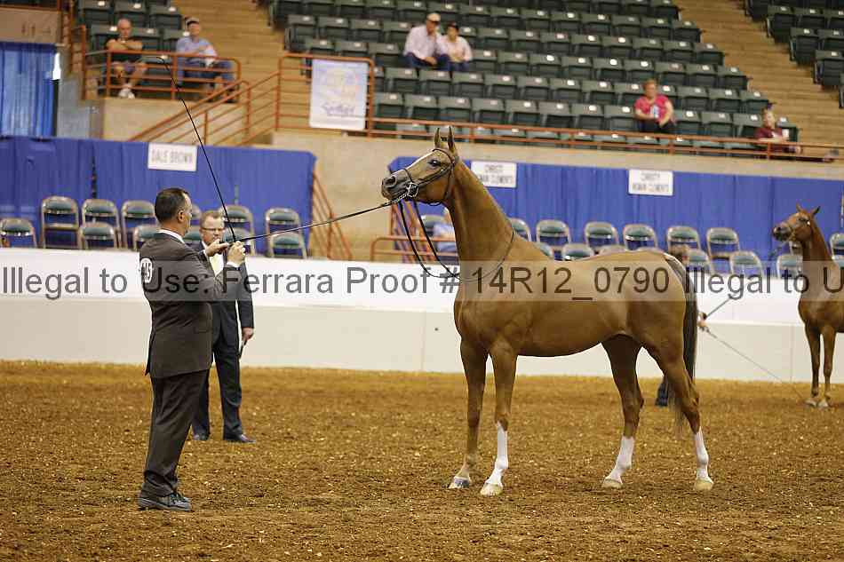 Proof 14r12_0790