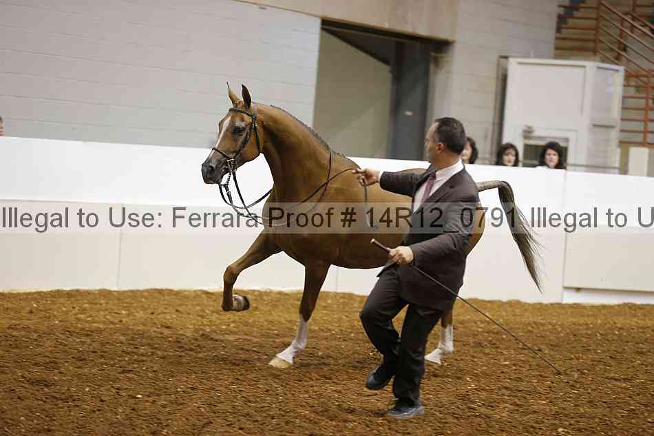 Proof 14r12_0791