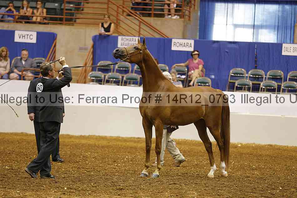 Proof 14r12_0793