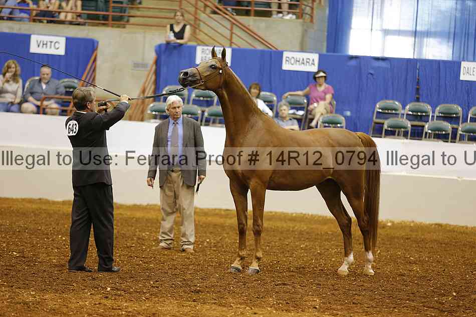 Proof 14r12_0794