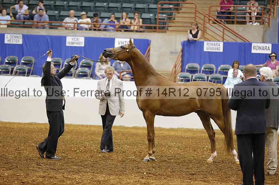 Proof 14r12_0795