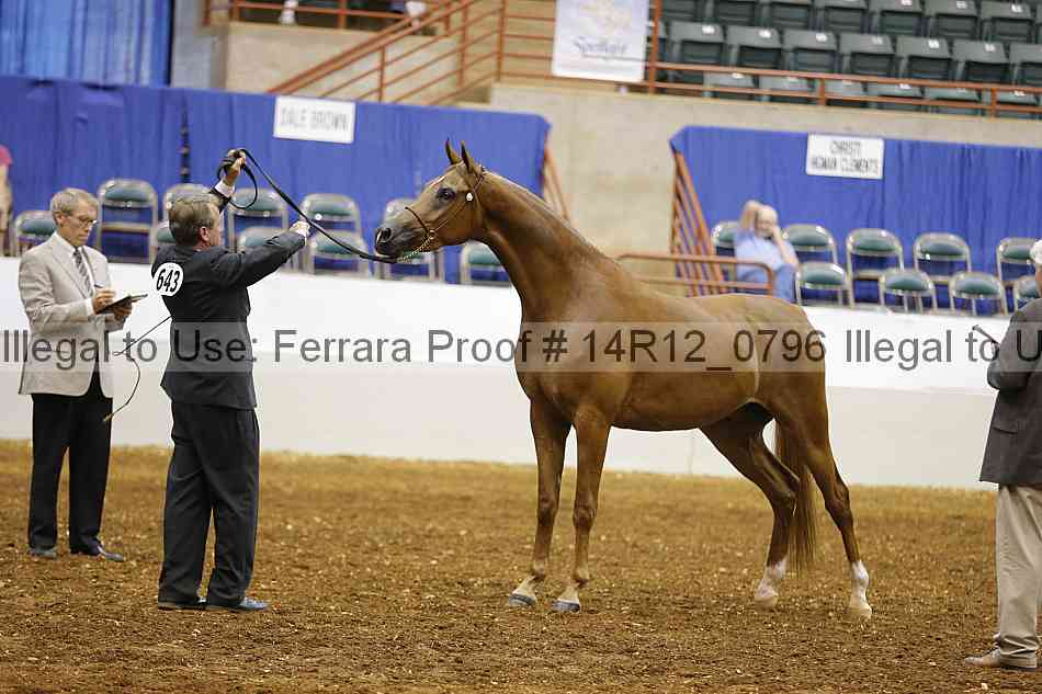 Proof 14r12_0796