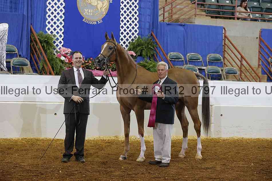 Proof 14r12_0797