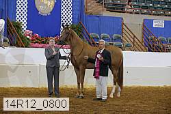 14r12_0800 proof