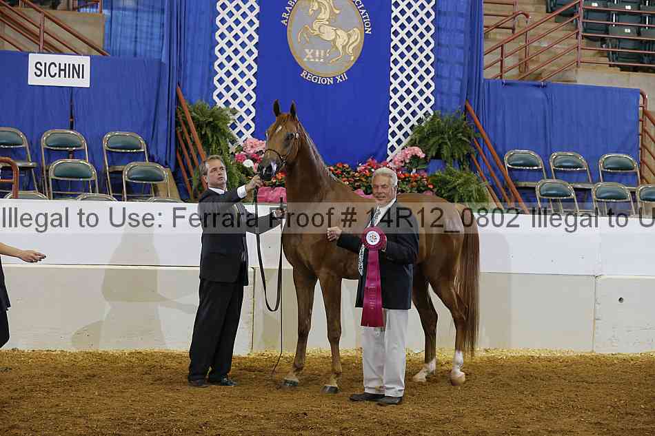 Proof 14r12_0802