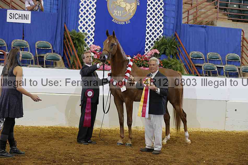Proof 14r12_0803