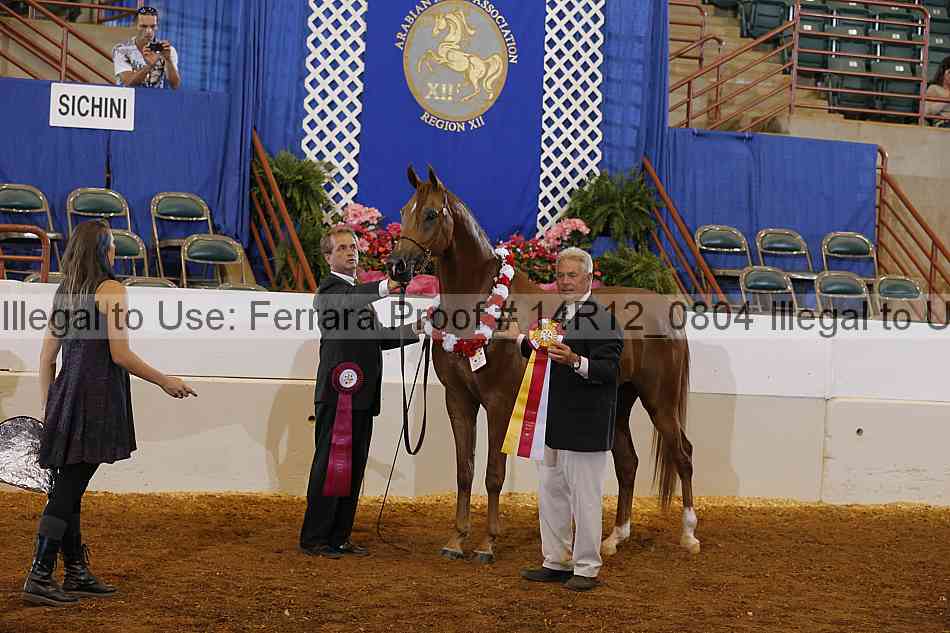 Proof 14r12_0804