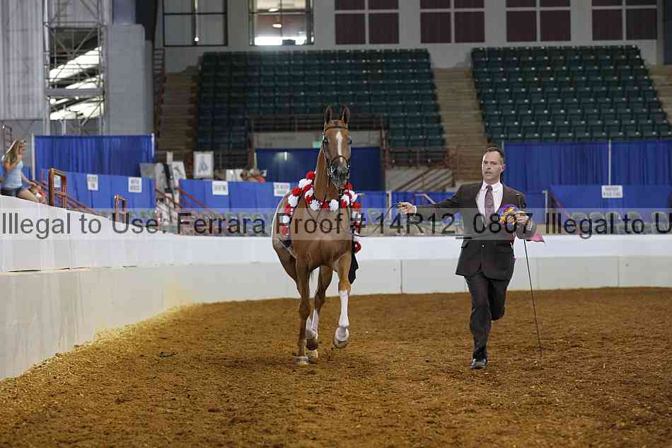 Proof 14r12_0807