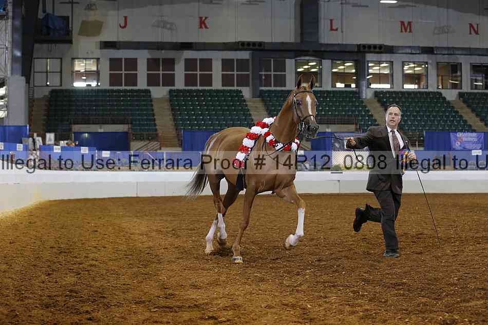 Proof 14r12_0808