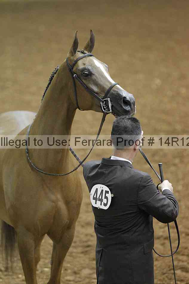 Proof 14r12_0827