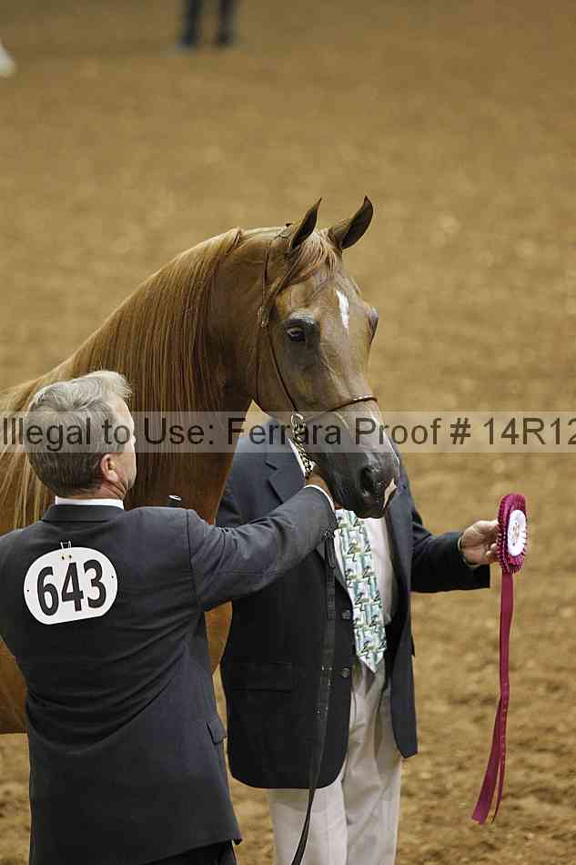 Proof 14r12_0831