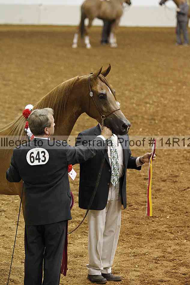 Proof 14r12_0833