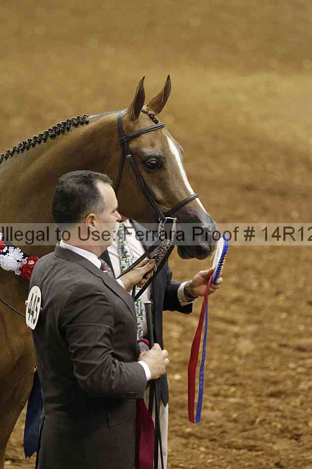 Proof 14r12_0834