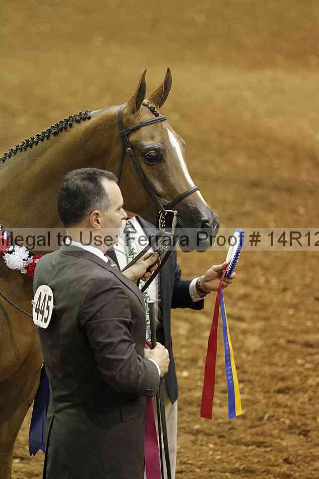 Proof 14r12_0835
