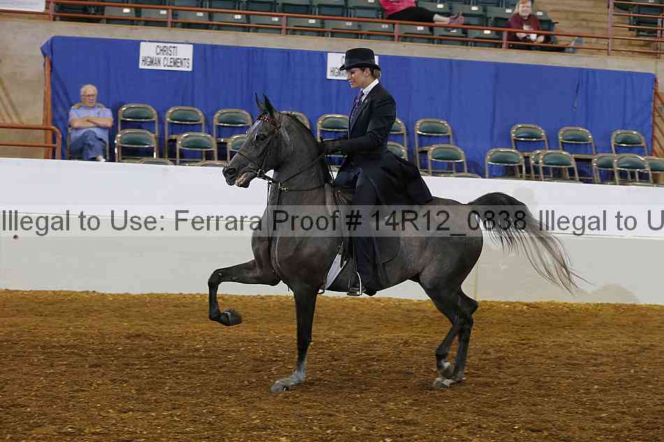 Proof 14r12_0838
