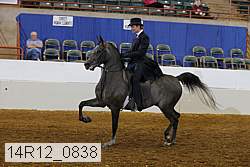 14r12_0838 proof