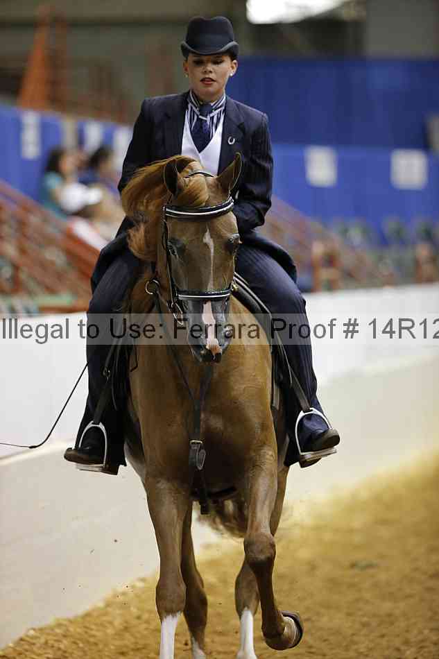 Proof 14r12_0842