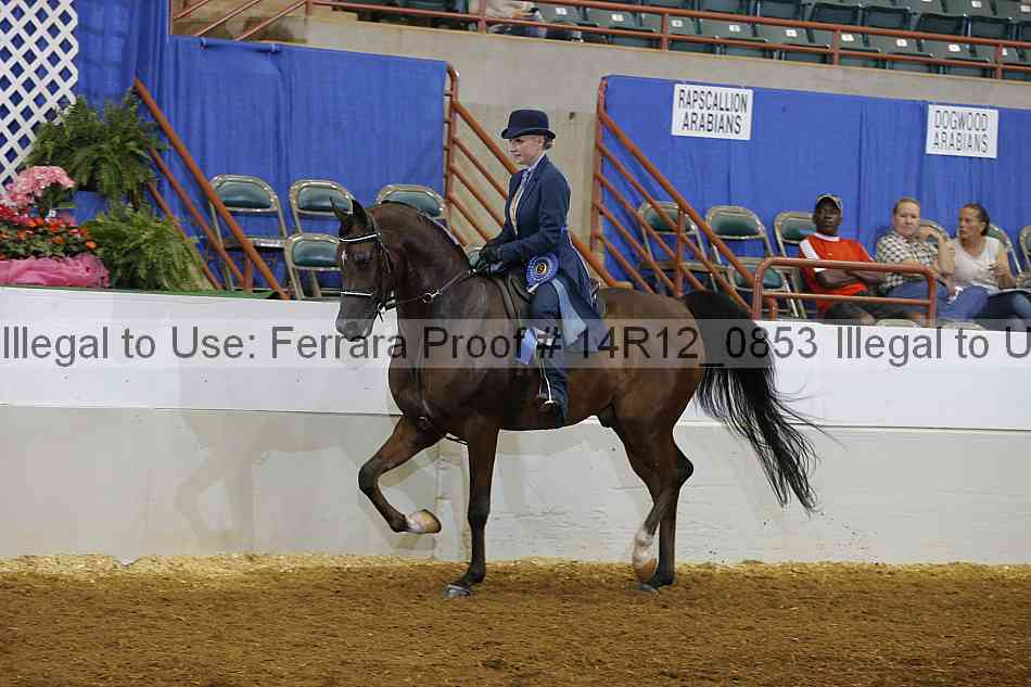 Proof 14r12_0853