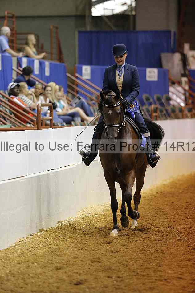 Proof 14r12_0856