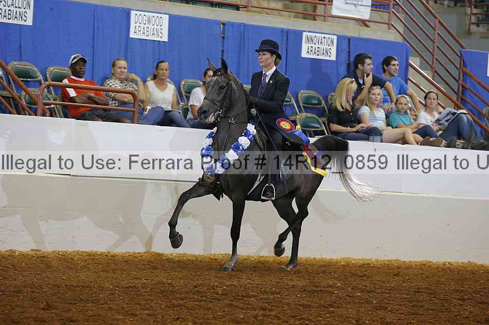 Proof 14r12_0859