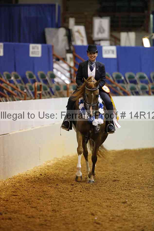 Proof 14r12_0860