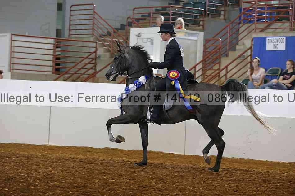 Proof 14r12_0862