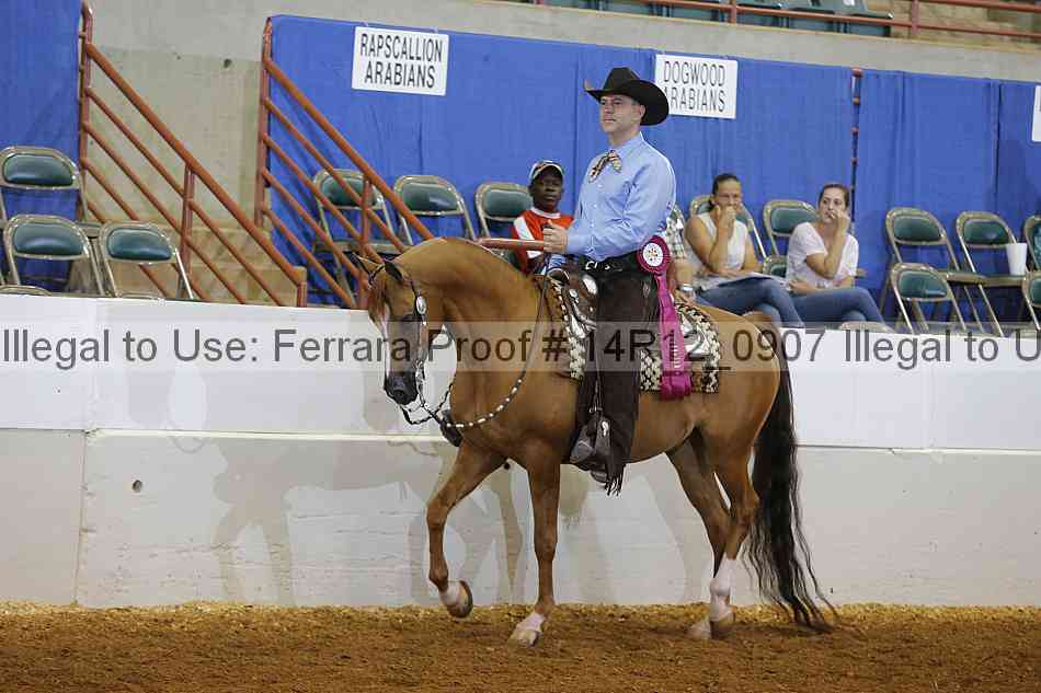 Proof 14r12_0907