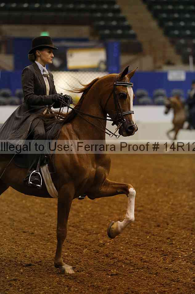 Proof 14r12_0933
