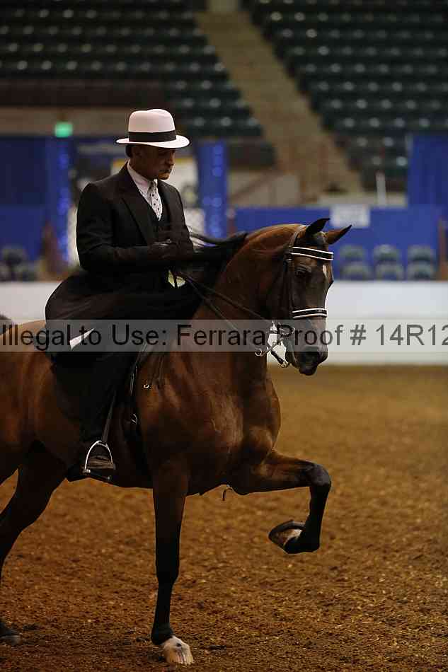 Proof 14r12_0935