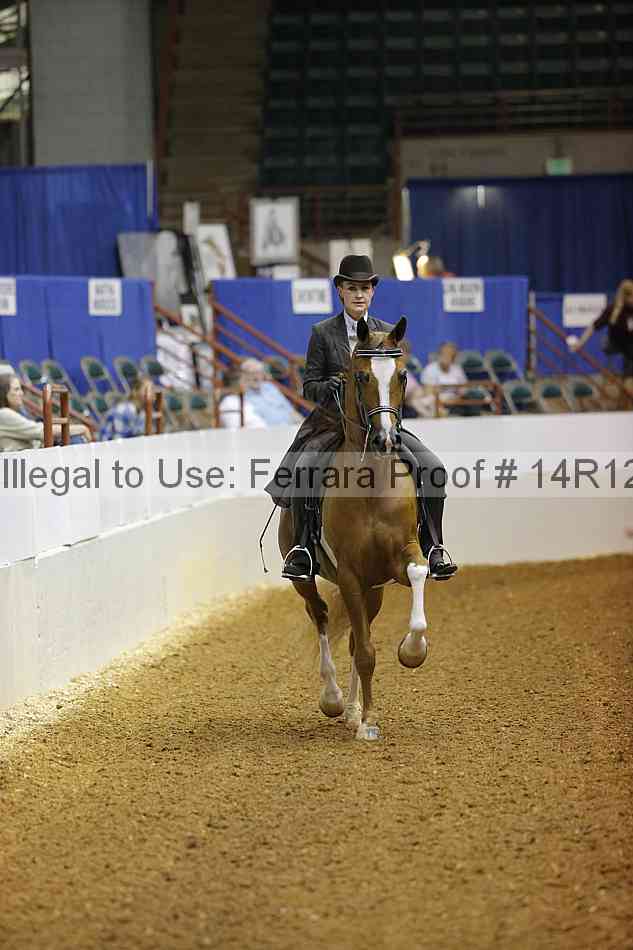Proof 14r12_0943