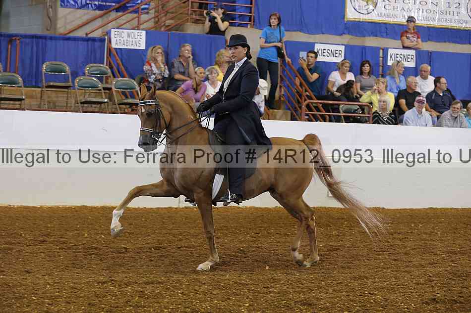 Proof 14r12_0953