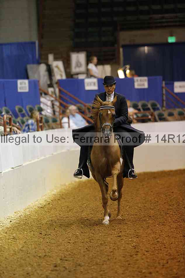 Proof 14r12_0960
