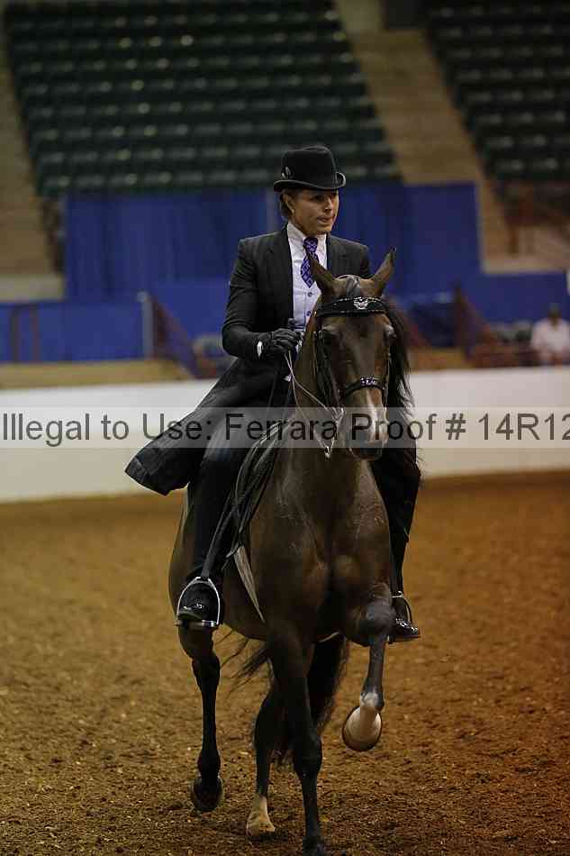 Proof 14r12_0963