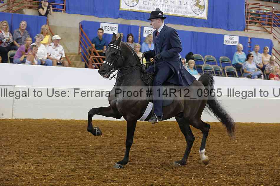 Proof 14r12_0965