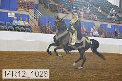 14r12_1028 proof