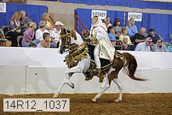 14r12_1037 proof