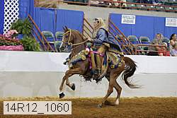 14r12_1060 proof