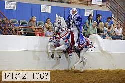 14r12_1063 proof