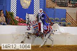 14r12_1064 proof