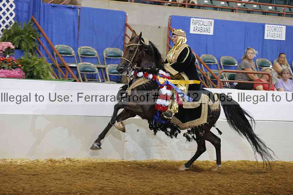 Proof 14r12_1065