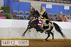 14r12_1065 proof