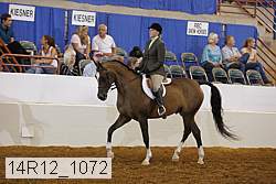 14r12_1072 proof