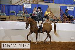 14r12_1077 proof
